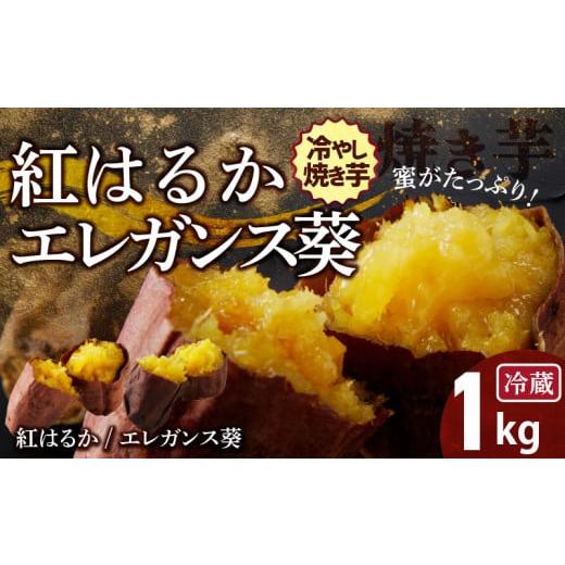 ふるさと納税 野菜類 サツマイモ 愛知県 碧南市 焼き芋 蜜たっぷり 冷やし焼き芋 ひえひえ君 食べ...