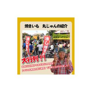 ふるさと納税 野菜類 サツマイモ 愛知県 碧南...の詳細画像4