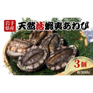 ふるさと納税 岩手県 大船渡市 あわび 3個 約300g 三陸産 天然 活鮑 刺身 冷蔵 旬 貝 蝦夷あわび 魚介類 期間限定 産地直送 岩手 大船渡市