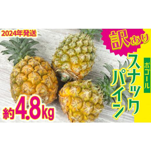 ふるさと納税 沖縄県 宜野座村 【2024年発送】訳ありスナック（ボゴール）パイン　4〜8玉　約4....