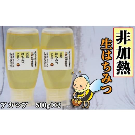 ふるさと納税 加工品等 はちみつ 岩手県 雫石町 簗場養蜂場 非加熱 生はちみつ アカシア 500g...