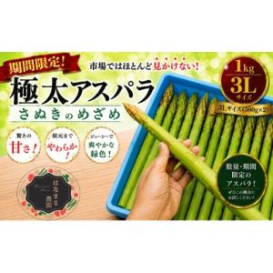 ふるさと納税 野菜類 アスパラガス 香川県 東かがわ市  No.4631-2199 期間限定 極太アスパラ さぬきのめざめ1kg 3Lサイズ 野菜セット 野菜 アスパラガス