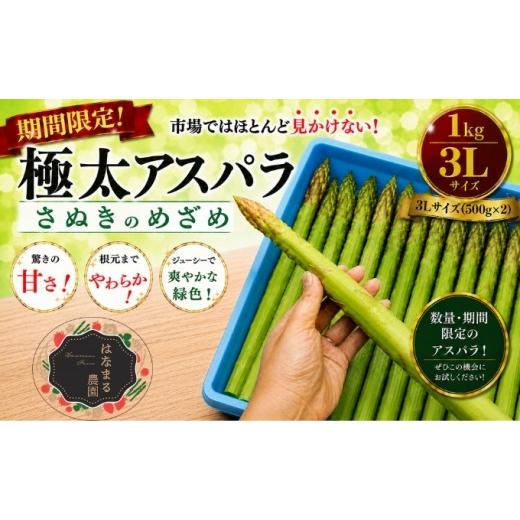 ふるさと納税 野菜類 アスパラガス 香川県 東かがわ市 2027年初物予約 極太アスパラ さぬきのめ...