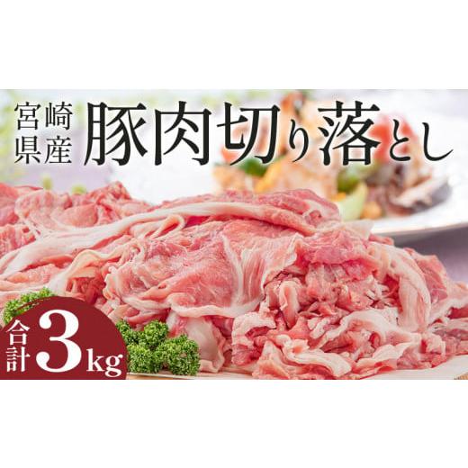 ふるさと納税 宮崎県 宮崎市 宮崎県産豚肉切り落とし 250g×12 合計3kg_M144-003