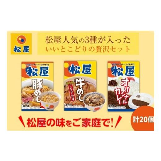 ふるさと納税 埼玉県 嵐山町 松屋 牛めし 豚めし カレー 20個 セット 冷凍 カレー 牛丼 豚丼...