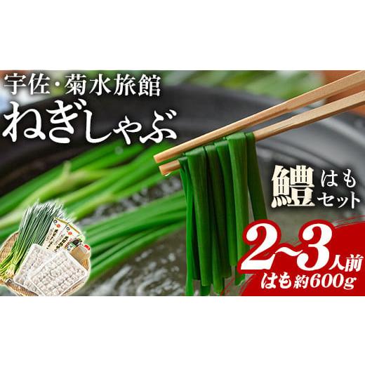 ふるさと納税 大分県 宇佐市 ねぎしゃぶ(鱧はも)セット(5品)ねぎしゃぶ しゃぶしゃぶ 鱧 はも ...