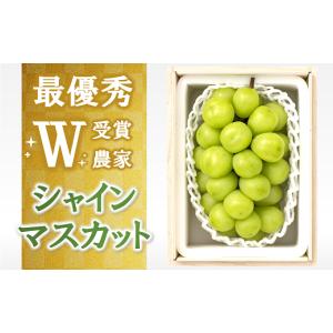 ふるさと納税 山形県 南陽市 【令和6年産先行予約】【最優秀賞W受賞】 シャインマスカット 700g...