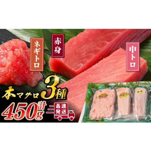 ふるさと納税 長崎県 対馬市 対馬産 本マグロ 3種 計450g（赤身／中トロ／ネギトロ）《対馬市》...