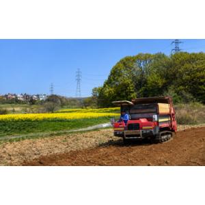 ふるさと納税 食用油 植物油 愛知県 豊田市 ...の詳細画像5