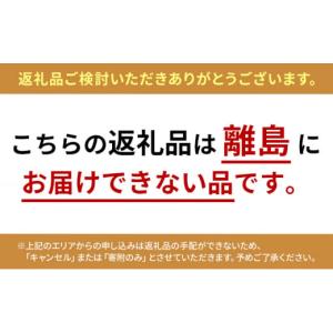 ふるさと納税 メロン メロン青肉 静岡県 浜松...の詳細画像2