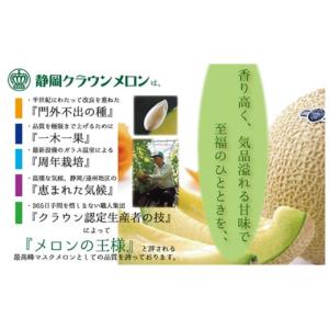 ふるさと納税 メロン メロン青肉 静岡県 浜松...の詳細画像3