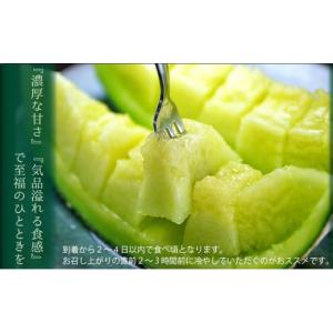 ふるさと納税 メロン メロン青肉 静岡県 浜松...の詳細画像4