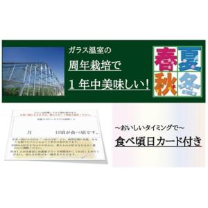 ふるさと納税 メロン メロン青肉 静岡県 浜松...の詳細画像5