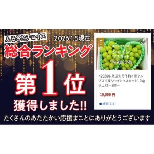 ふるさと納税 ぶどう マスカット 山梨県 南ア...の詳細画像2