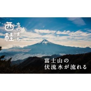 ふるさと納税 雑貨・日用品 山梨県 西桂町 N...の詳細画像2