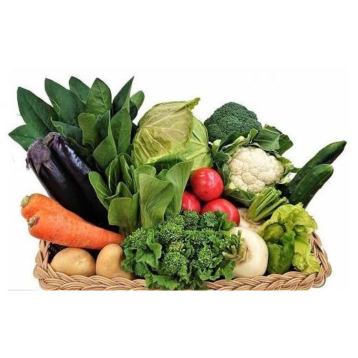 ふるさと納税 セット・詰合せ 福岡県 福津市 穫れたて 野菜・果物詰め合わせ10品 あんずの里 G0...