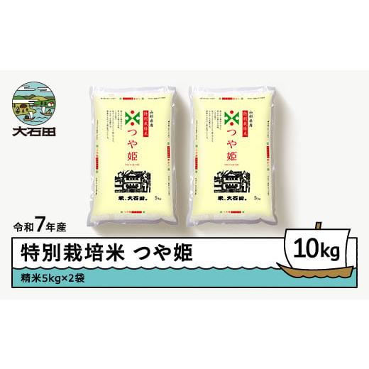 ふるさと納税 米 つや姫 山形県 大石田町 新米 米 令和7年産 米 つや姫 10kg 2025年1...