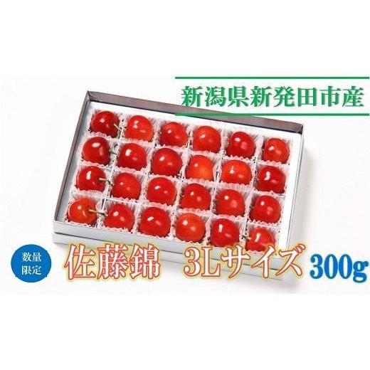 ふるさと納税 新潟県 新発田市 【令和6年産先行予約】 佐藤錦3L 300g 【 さくらんぼ サクラ...