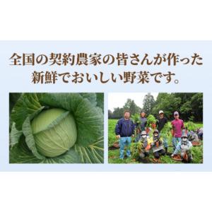 ふるさと納税 麺類 佐賀県 吉野ヶ里町 あの人...の詳細画像4