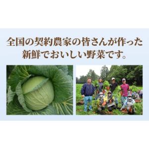 ふるさと納税 麺類 佐賀県 吉野ヶ里町 あの人...の詳細画像4