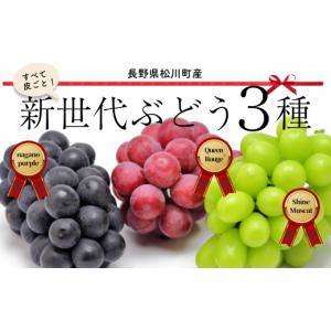 ふるさと納税 長野県 松川町 TK05-24A ぶどうプレミアムスリー（ナガノパープル／クイーンルージュ?／シャインマスカット）約1.5kg／9月中旬〜下旬頃配送予定 …｜furusatochoice