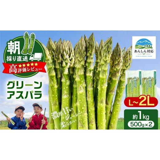 ふるさと納税 野菜類 アスパラガス 北海道 上富良野町  令和9年産 2027年発送 先行予約 アス...