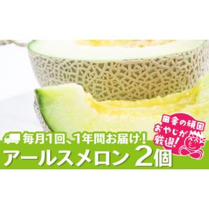 ふるさと納税 メロン メロン青肉 茨城県 つくばみらい市 定期便 アールスメロン 食べてみセット 2個入り 毎月1回 1年コース(全12回)