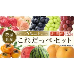 ふるさと納税 果物の詰合せ 茨城県 つくばみらい市 田舎の頑固おやじが厳選 定期便 旬のフルーツはこれだっぺセット毎月1回1年コース(計12回)