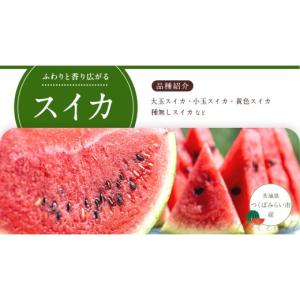 ふるさと納税 果物の詰合せ 茨城県 つくばみら...の詳細画像4