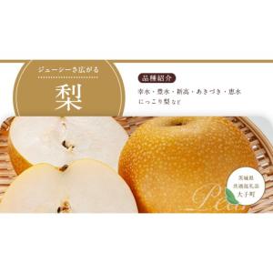 ふるさと納税 果物の詰合せ 茨城県 つくばみら...の詳細画像5