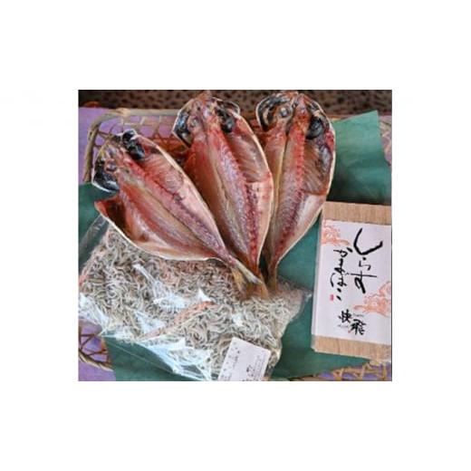 ふるさと納税 神奈川県 茅ヶ崎市 茅ヶ崎しらす・かまぼこセット