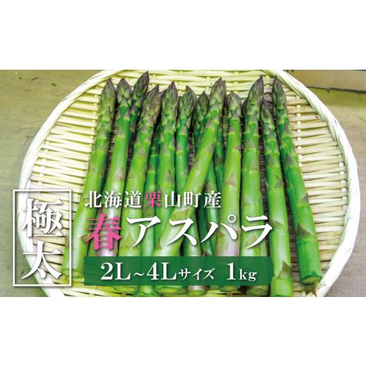 ふるさと納税 野菜類 アスパラガス 北海道 栗山町 極太 JAそらち南 春の味覚「グリーンアスパラガ...