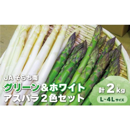 ふるさと納税 野菜類 アスパラガス 北海道 栗山町 春一番 JAそらち南の味覚「アスパラ2色セット」...