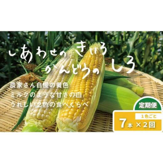 ふるさと納税 北海道 栗山町 大地の恵み「とうもろこし2色定期便（1色ごと）」北海道産　7本×2回　...