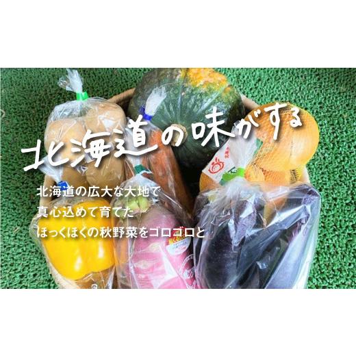 ふるさと納税 セット・詰合せ 北海道 栗山町 大地の恵み 「秋の味覚 味わいセット」　B036
