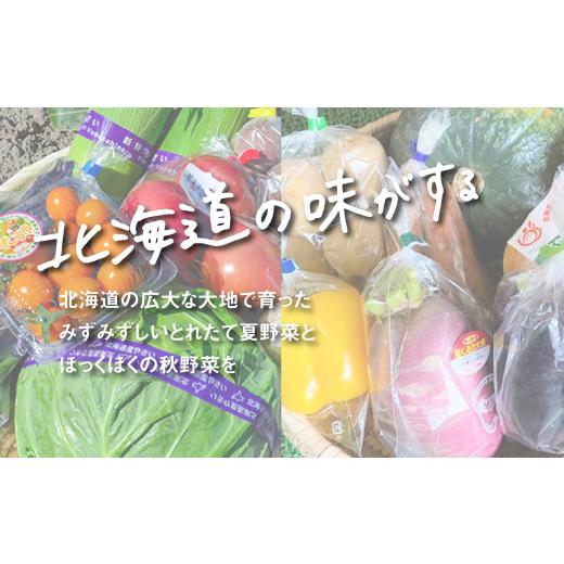 ふるさと納税 セット・詰合せ 北海道 栗山町 直売所直送「夏・秋野菜定期便」4回　H028