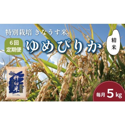 ふるさと納税 北海道 栗山町 【精米6ヶ月定期便】特別栽培「きなうす米」ゆめぴりか5kg×6回　K0...