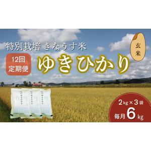 ふるさと納税 玄米 北海道 栗山町 玄米12ヶ...の詳細画像1