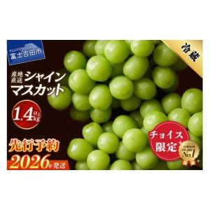 ふるさと納税 【2026年発送☆先行予約】ご家庭用シャインマスカット2.2