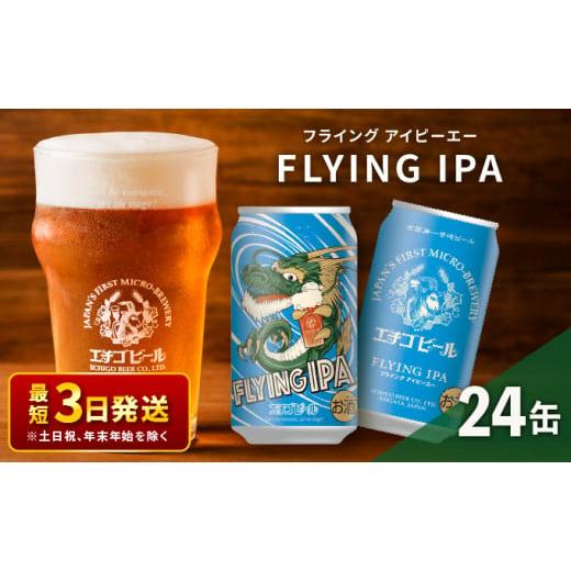 ふるさと納税 新潟県 新潟市 クラフトビール エチゴビール FLYING IPA 350ml 缶 2...