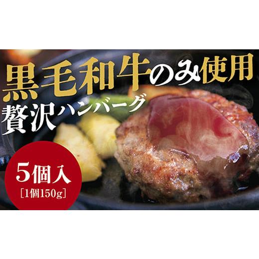 ふるさと納税 山口県 山口市 D226 黒毛和牛100％ハンバーグ5個入り