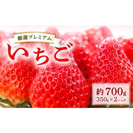 ふるさと納税 島根県 益田市 厳選プレミアム いちご（350g×2パック）【先行予約 果物 フルーツ...