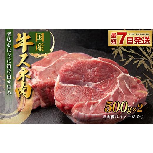 ふるさと納税 茨城県 守谷市 国産 牛スネ肉 500g×2 合計1kg 小分け 茨城県産 カレー シ...