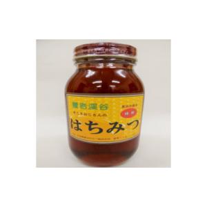 ふるさと納税 加工品等 はちみつ 千葉県 大多喜町 T17501はちみつ1.2ｋｇ、年間12回お届け