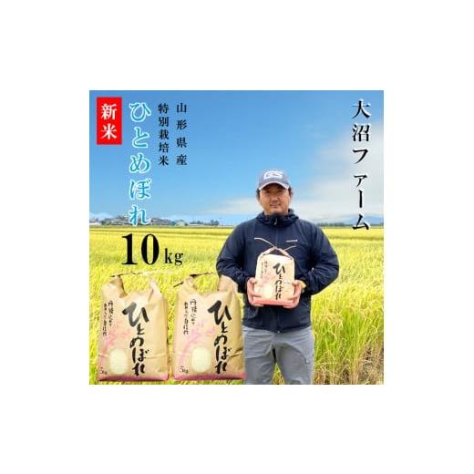 ふるさと納税 山形県 三川町 【令和6年産・精米】大沼ファームの特別栽培米ひとめぼれ10kg 【令和...