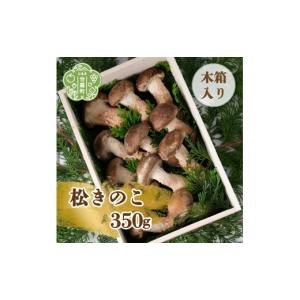 バニラ ゴールデンクランチ マカダミア 3個セット : NZSHOPヤフー店