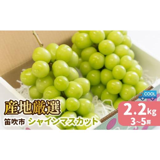 ふるさと納税 ぶどう マスカット 山梨県 笛吹市  2026年発送 先行予約 産地厳選シャインマスカ...