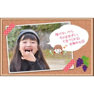 ふるさと納税 果物類 ぶどう 熊本県 玉名市 ...の詳細画像4