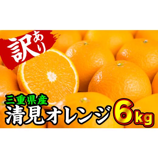 ふるさと納税 三重県 尾鷲市 【訳あり】三重県産　清見オレンジ（きよみ） ６kg【出荷目安：３月中旬...