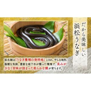 ふるさと納税 お食事券 静岡県 浜松市 お食事...の詳細画像5